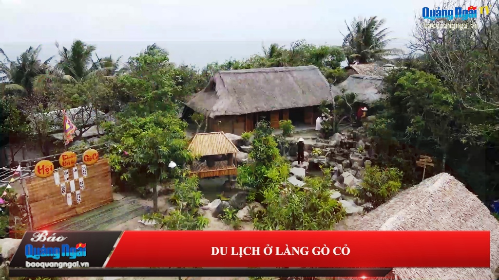 Video: Du lịch ở làng Gò Cỏ