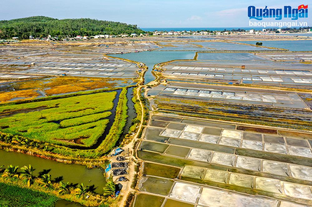 Con đường của muối