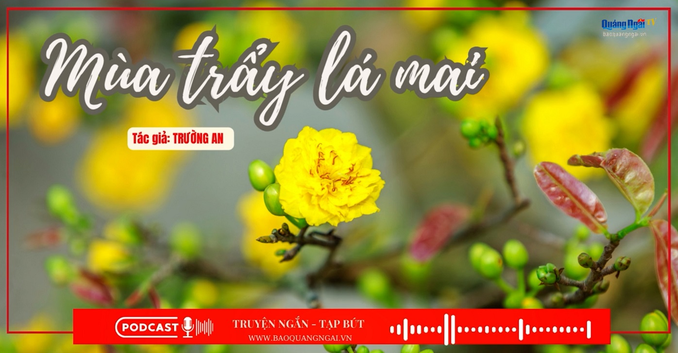 Podcast Truyện ngắn - Tạp bút: Mùa trảy lá mai
