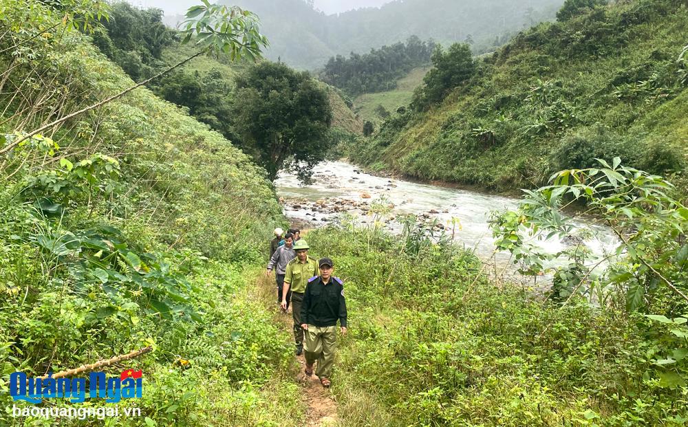 Tăng cường quản lý, bảo vệ rừng