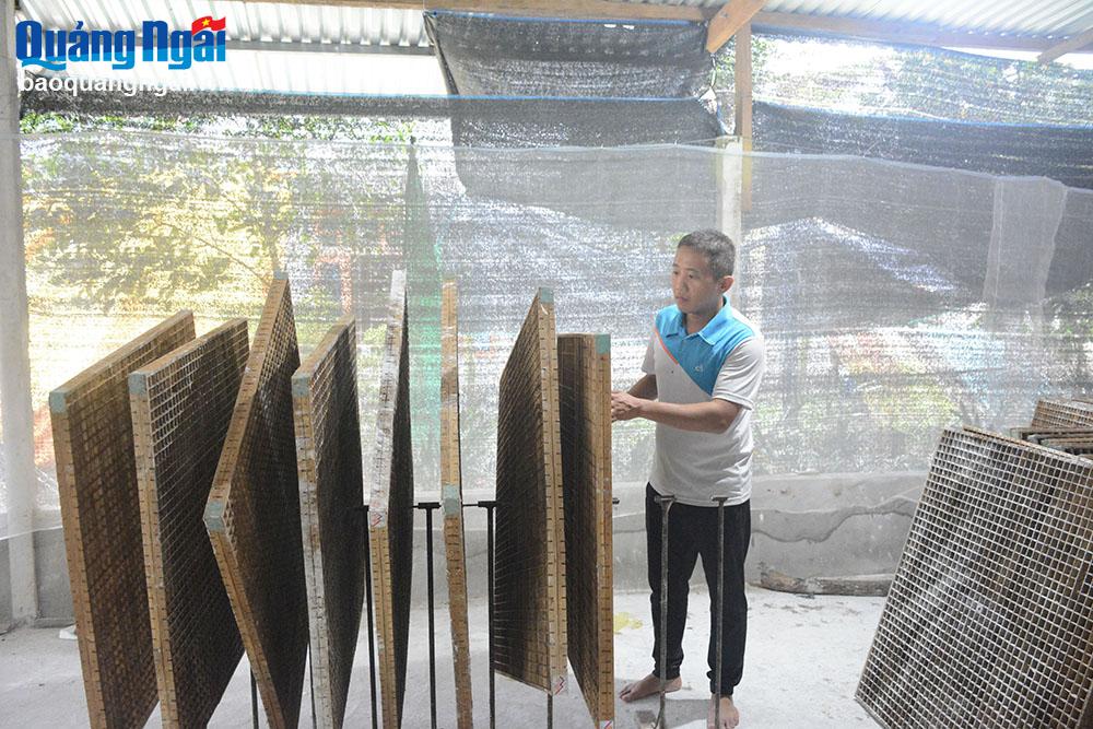 Vực dậy nghề trồng dâu, nuôi tằm