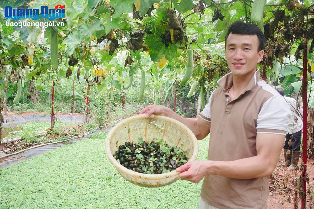 Hiệu quả từ mô hình nuôi ốc bươu đen