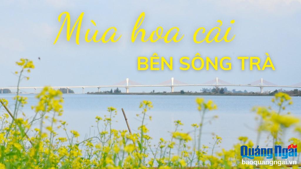Mùa hoa cải bên sông Trà