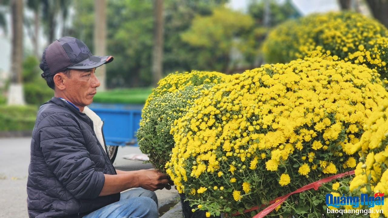 Hoa Tết rộn ràng xuống phố