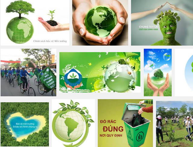 Bảo vệ môi trường để phát triển bền vững