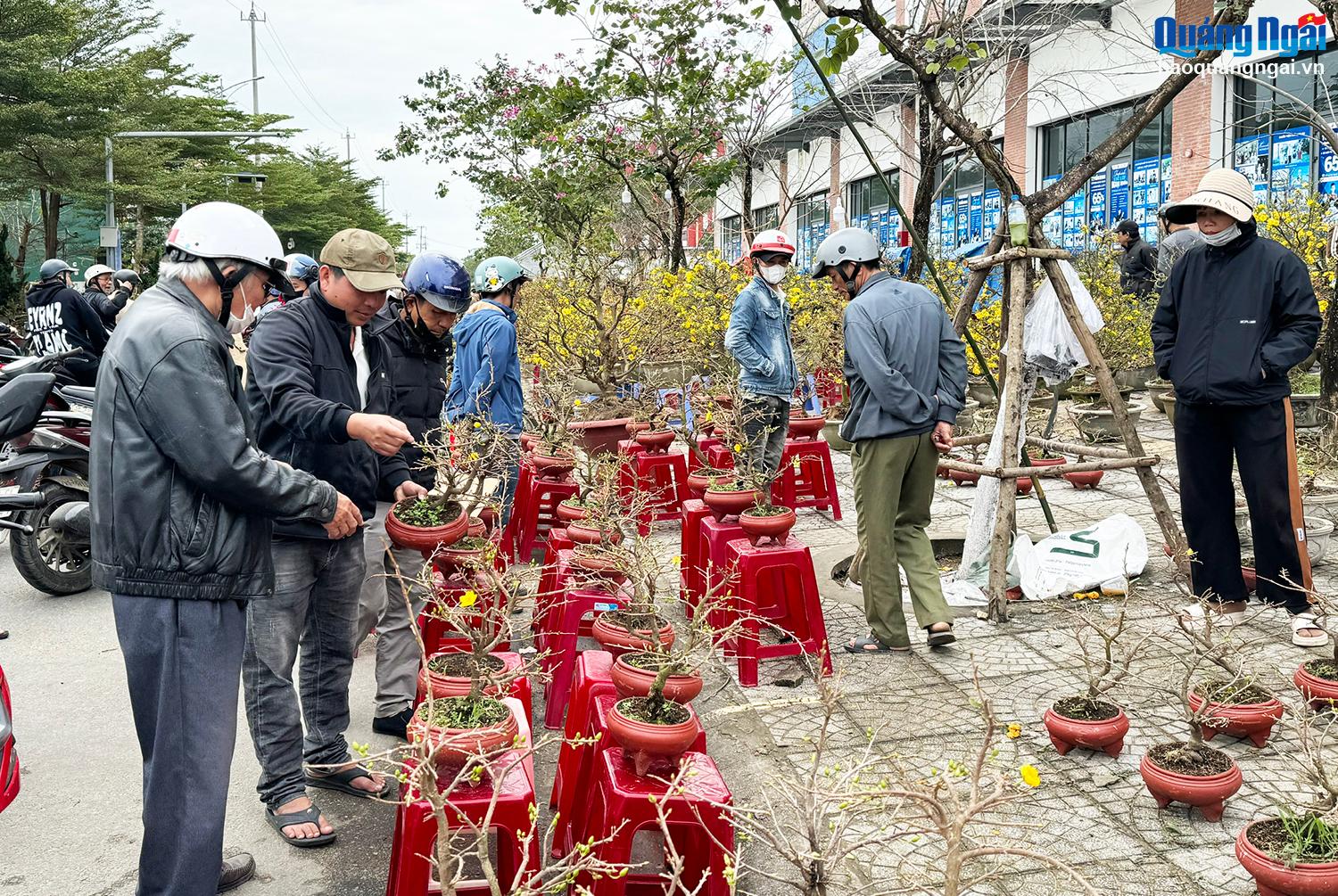Chợ hoa xuân nhộn nhịp ngày cuối năm
