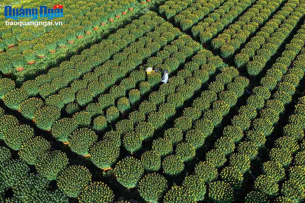 Cho ta tìm lại tháng năm xưa