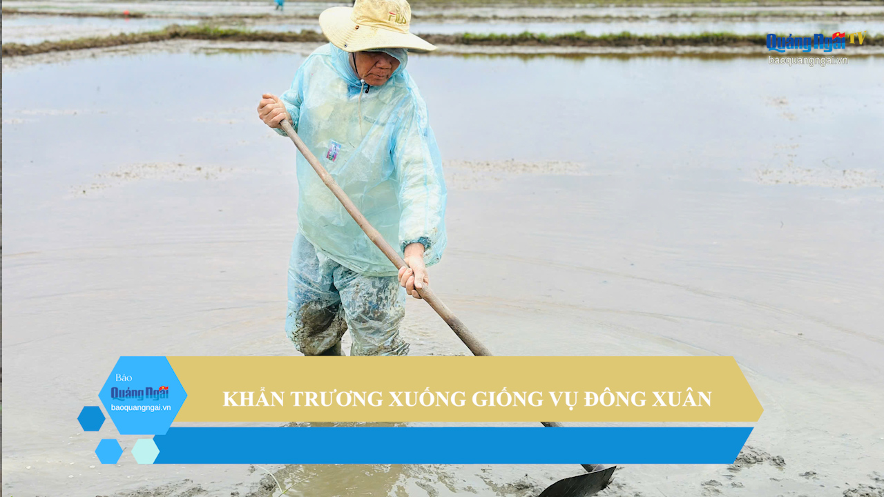 [Video]. Khẩn trương xuống giống vụ đông xuân