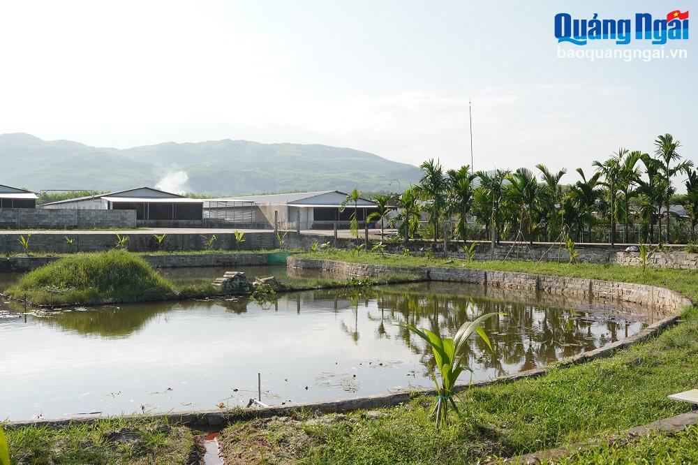 Làm nông nghiệp sạch trên đất cằn