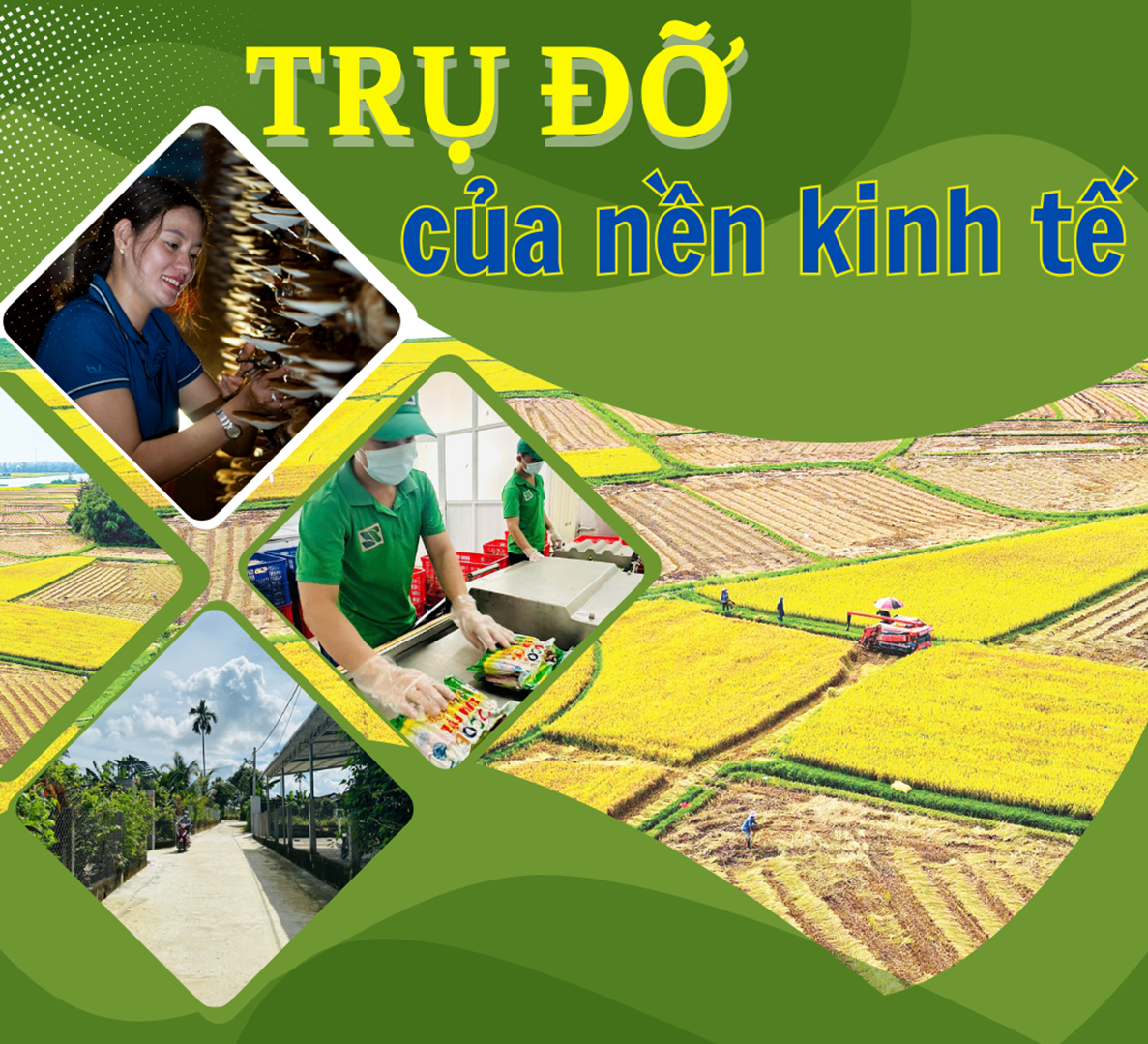 Trụ đỡ của nền kinh tế