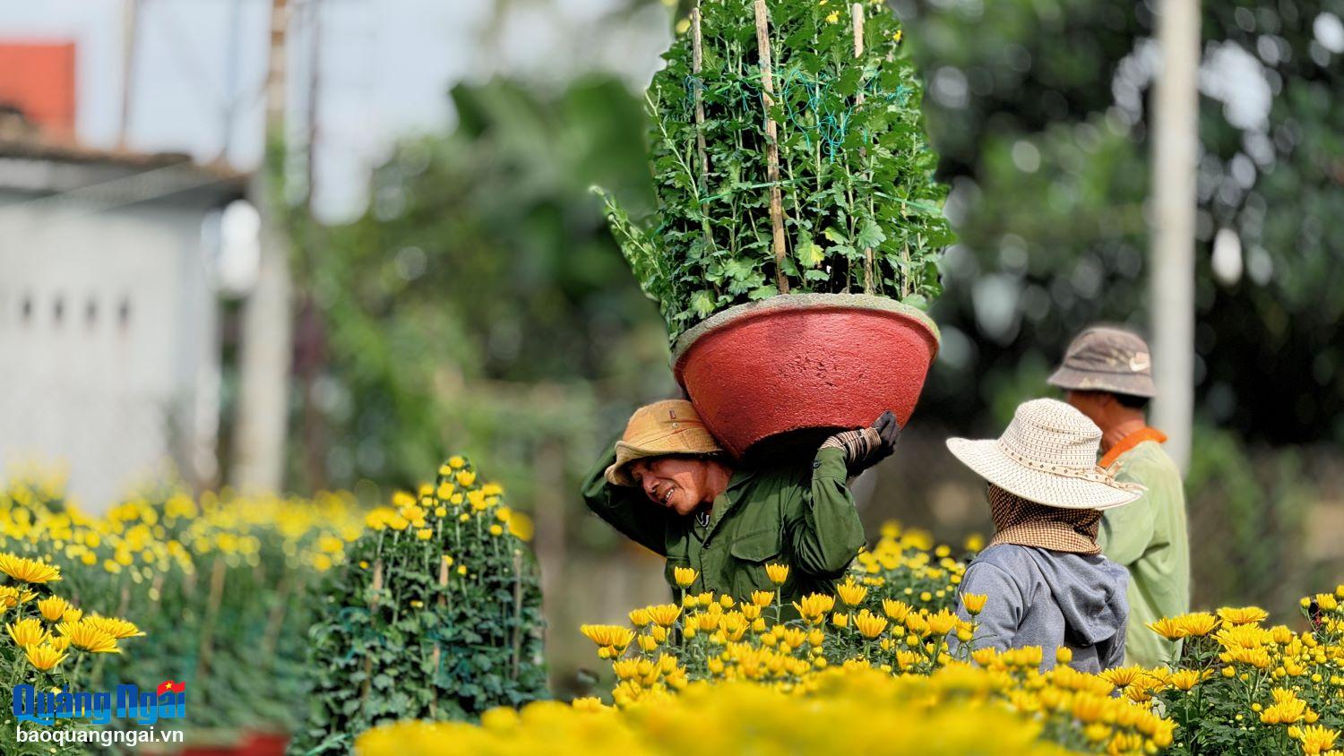 Nghề “cõng” hoa Tết