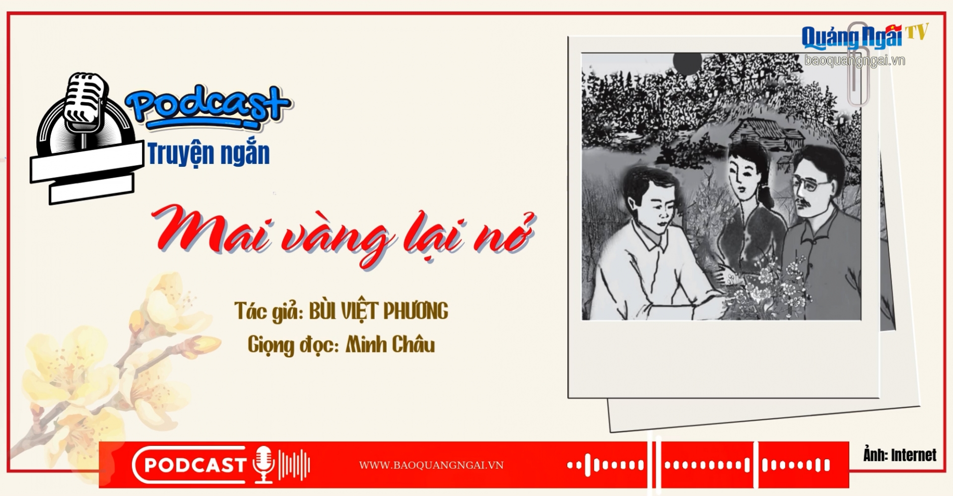 [Podcast]. Mai vàng lại nở