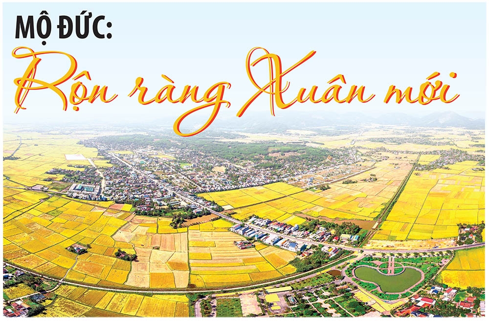 Mộ Đức: Rộn ràng Xuân mới