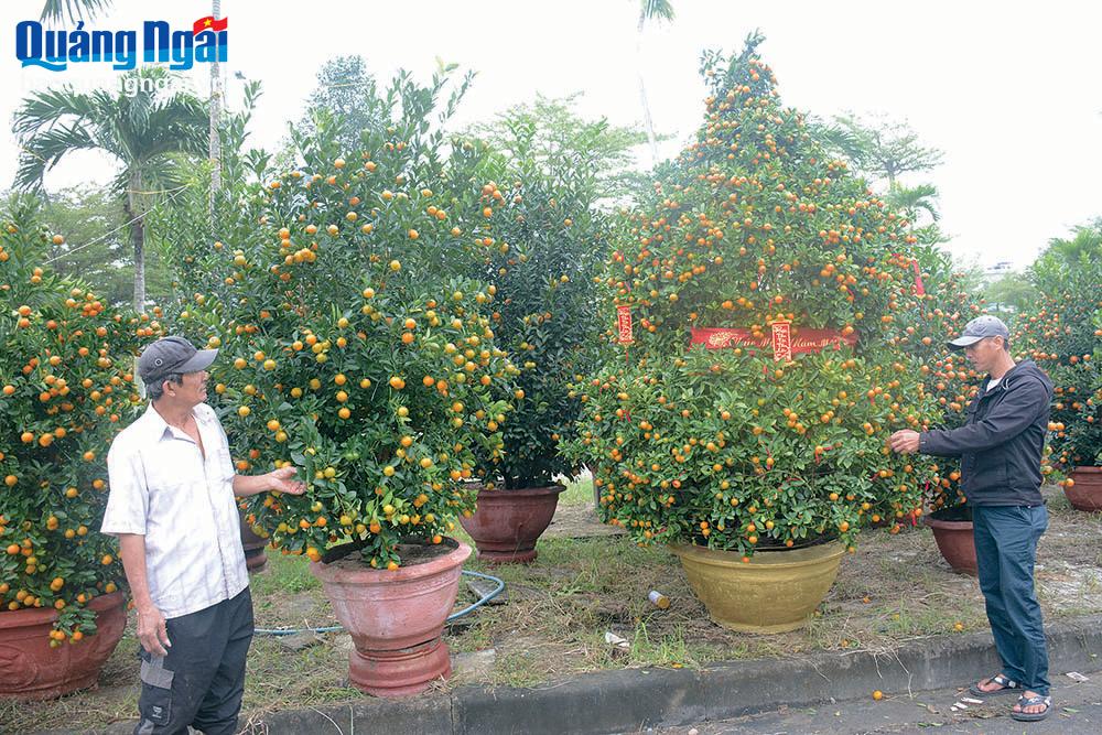 Hoa xuân xuống phố 