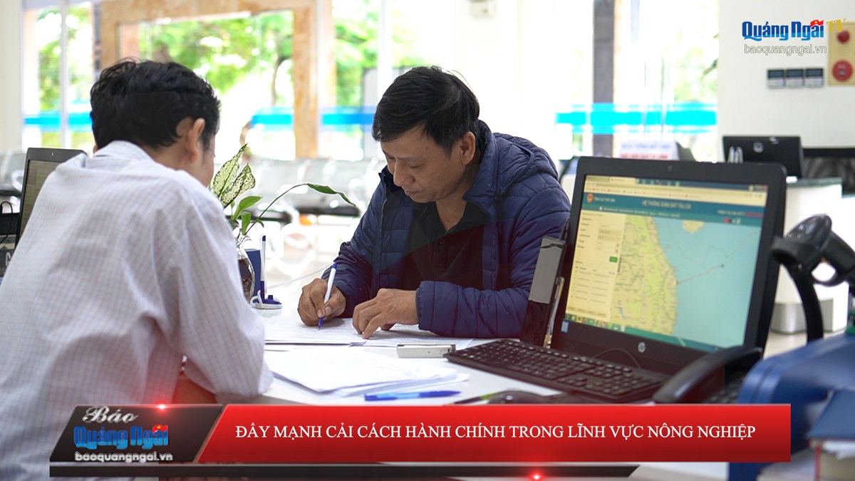 Video: Đẩy mạnh cải cách hành chính trong lĩnh vực nông nghiệp