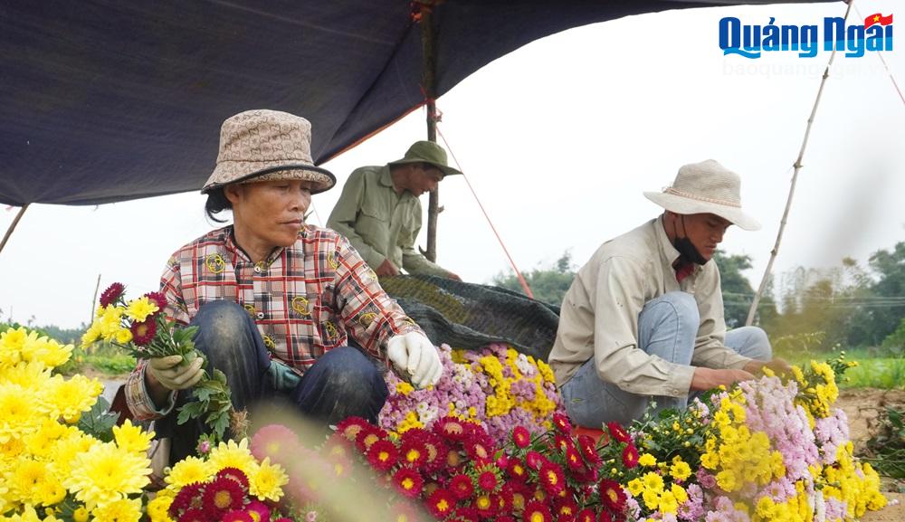 Ngậm ngùi vụ hoa Tết