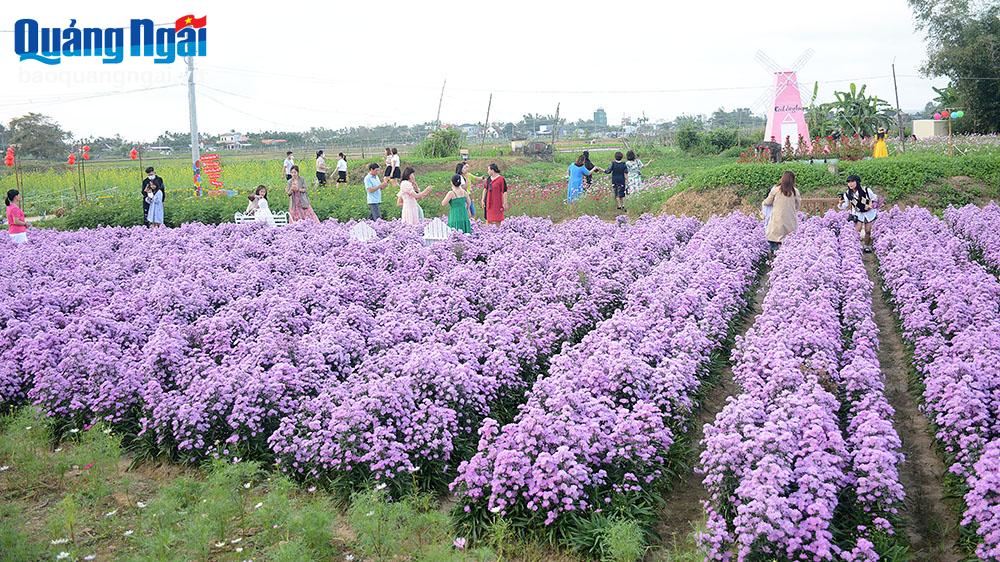 Nhiều điểm du xuân hấp dẫn
