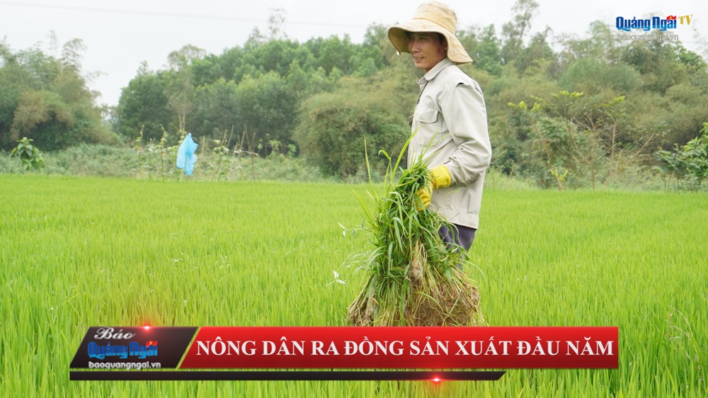 Video: Nông dân ra đồng sản xuất đầu năm