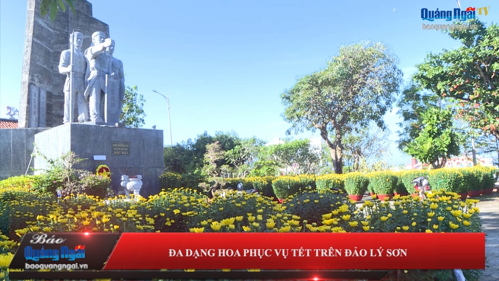 Video: Đa dạng hoa phục vụ Tết trên đảo Lý Sơn