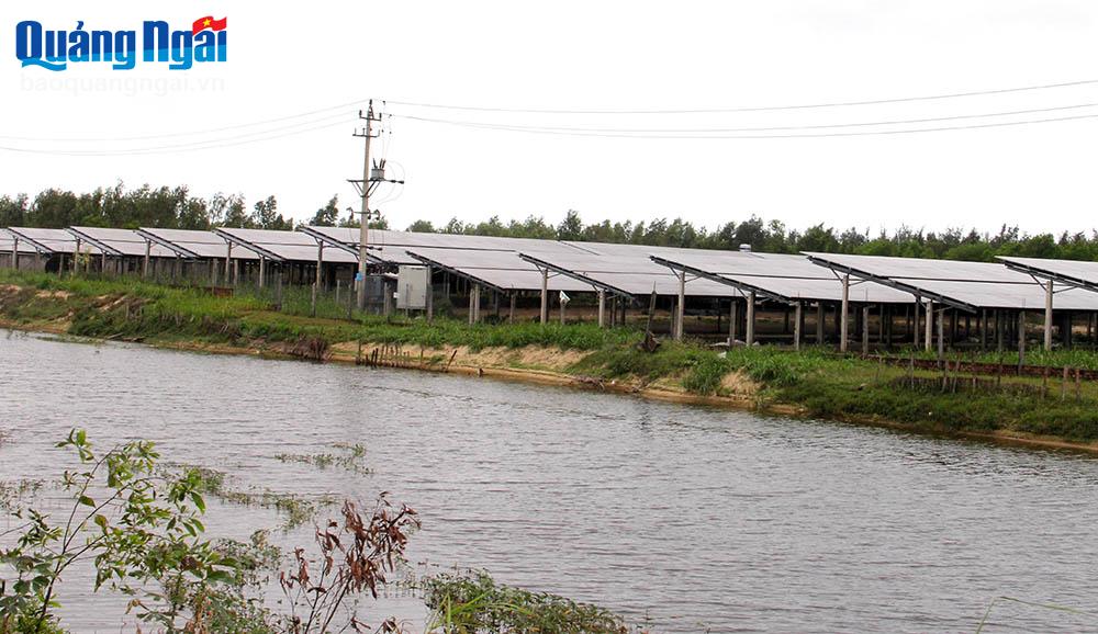 Thúc đẩy phát triển xanh