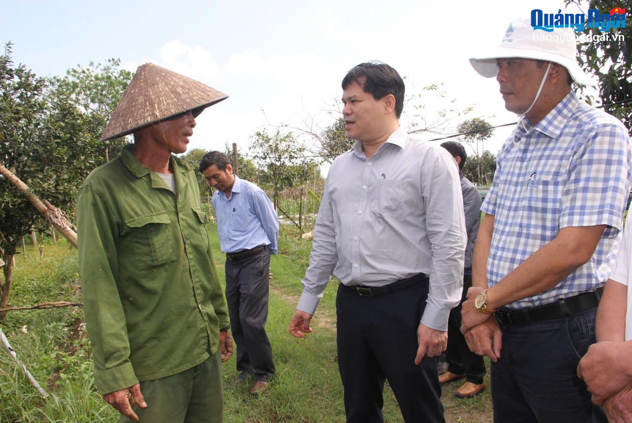 Kiểm tra tình hình sản xuất vụ đông xuân tại huyện Tư Nghĩa