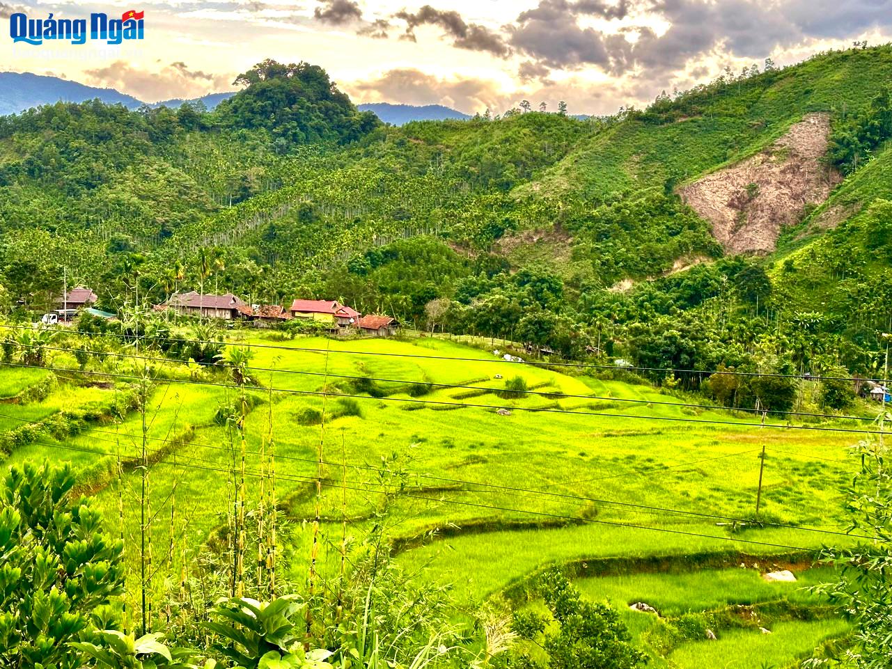 Nét mới ở miền tây Trà Bồng