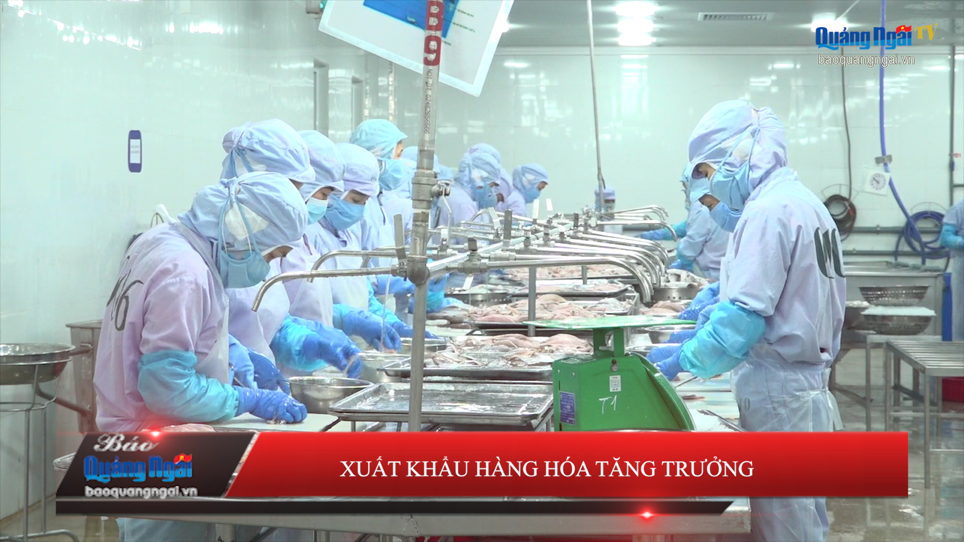 Video: Xuất khẩu hàng hóa tăng trưởng