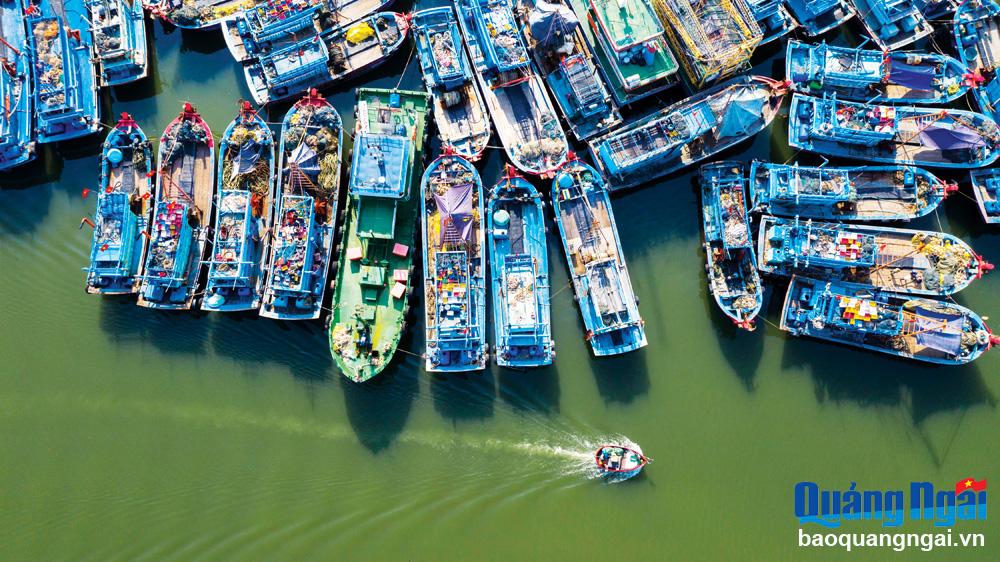 Mật ngữ nghề biển 