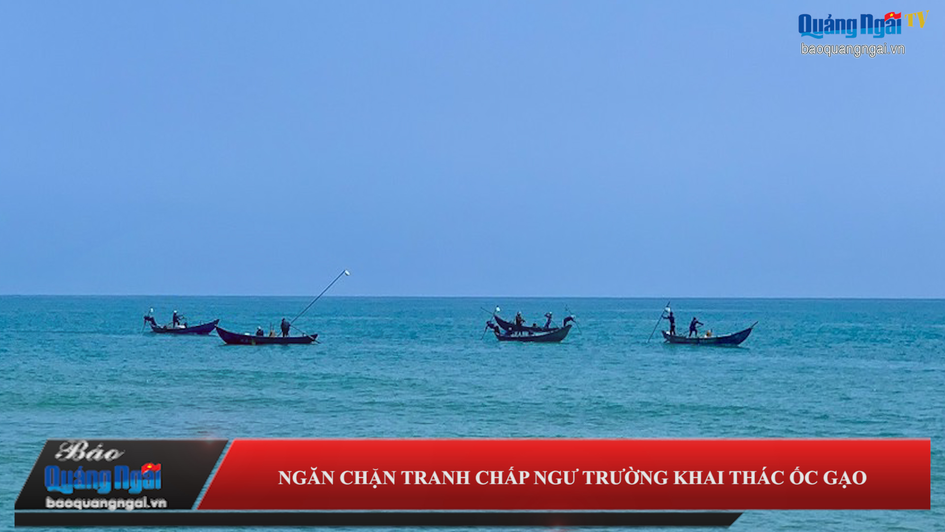 Video: Ngăn chặn tranh chấp ngư trường khai thác ốc gạo