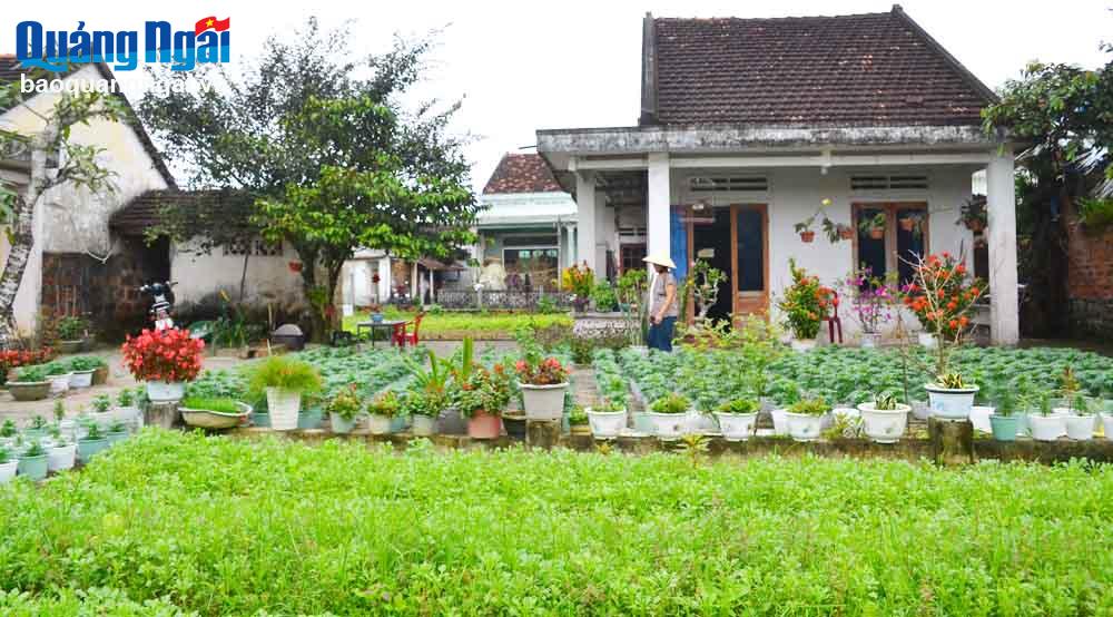 Bóng mẹ, bóng quê