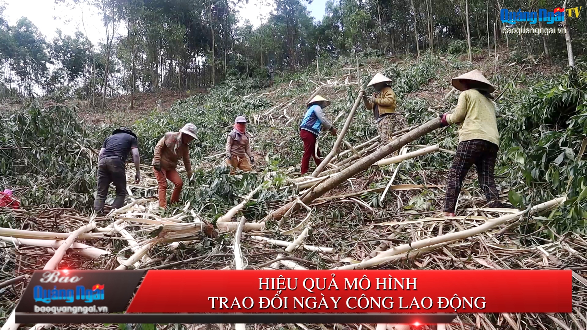 [Video]. Hiệu quả từ mô hình trao đổi ngày công lao động