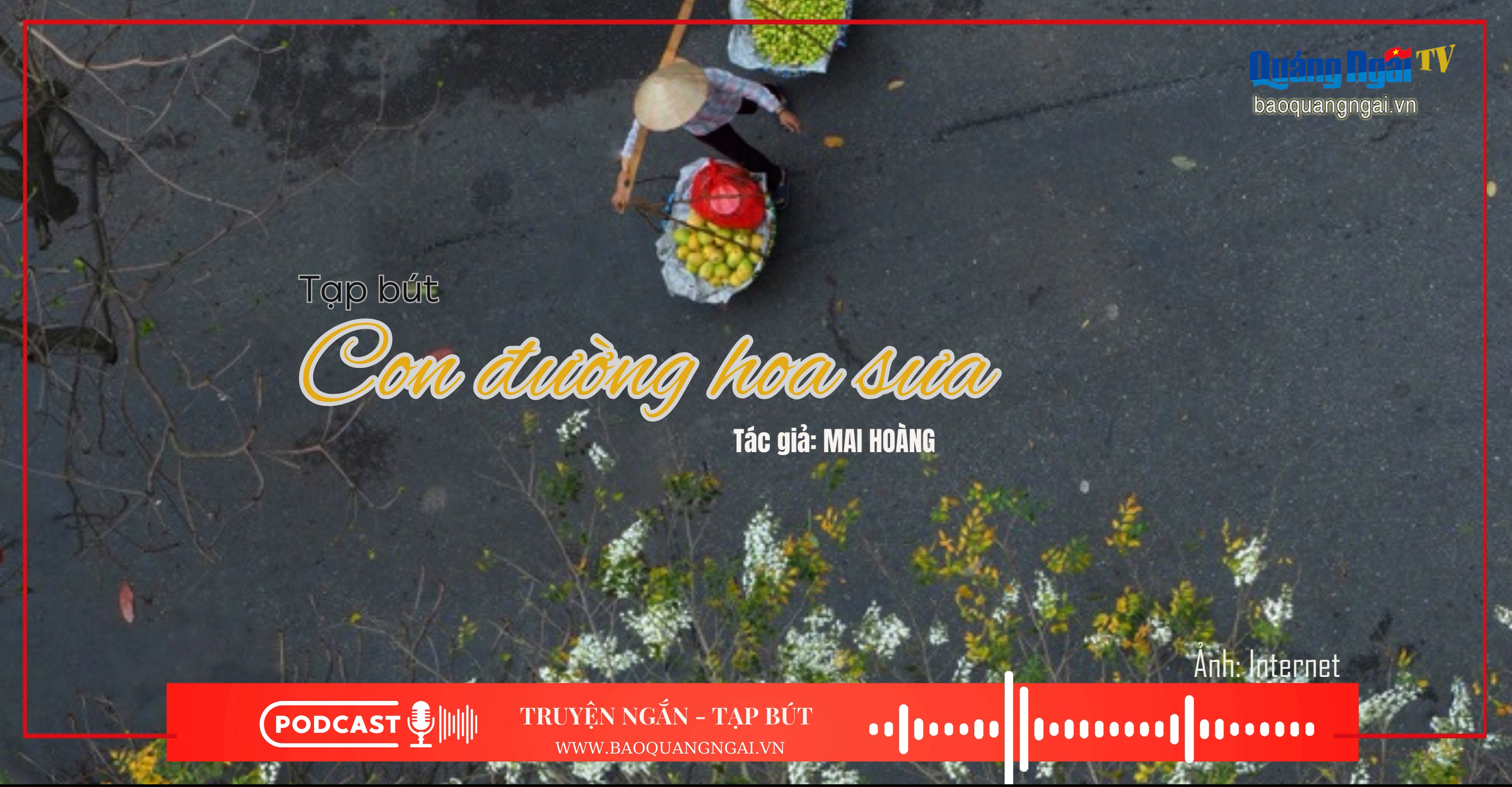 Podcast Truyện ngắn - Tạp bút: Con đường hoa sưa