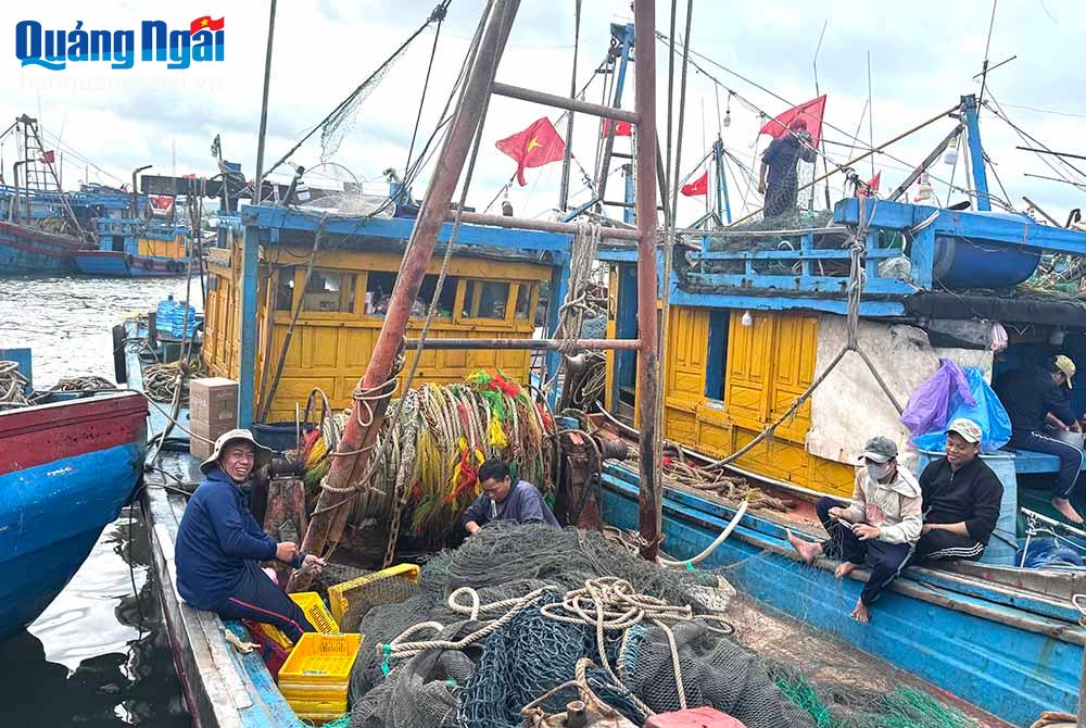 Vì nghề cá thân thiện với môi trường