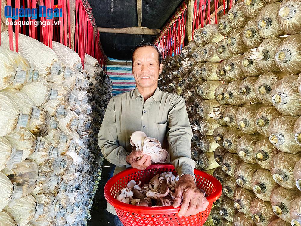 Nông dân Bình Sơn năng động làm giàu trên quê hương