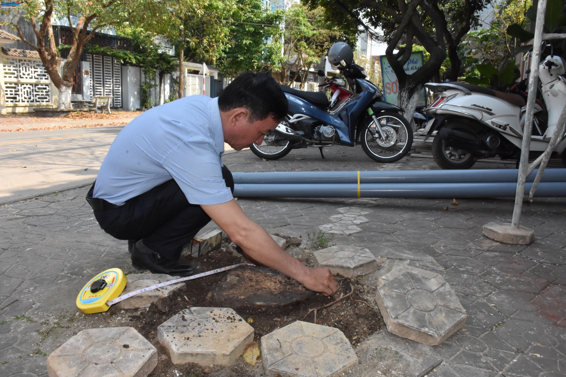 Kiến nghị xử phạt một hộ dân chặt cây xanh