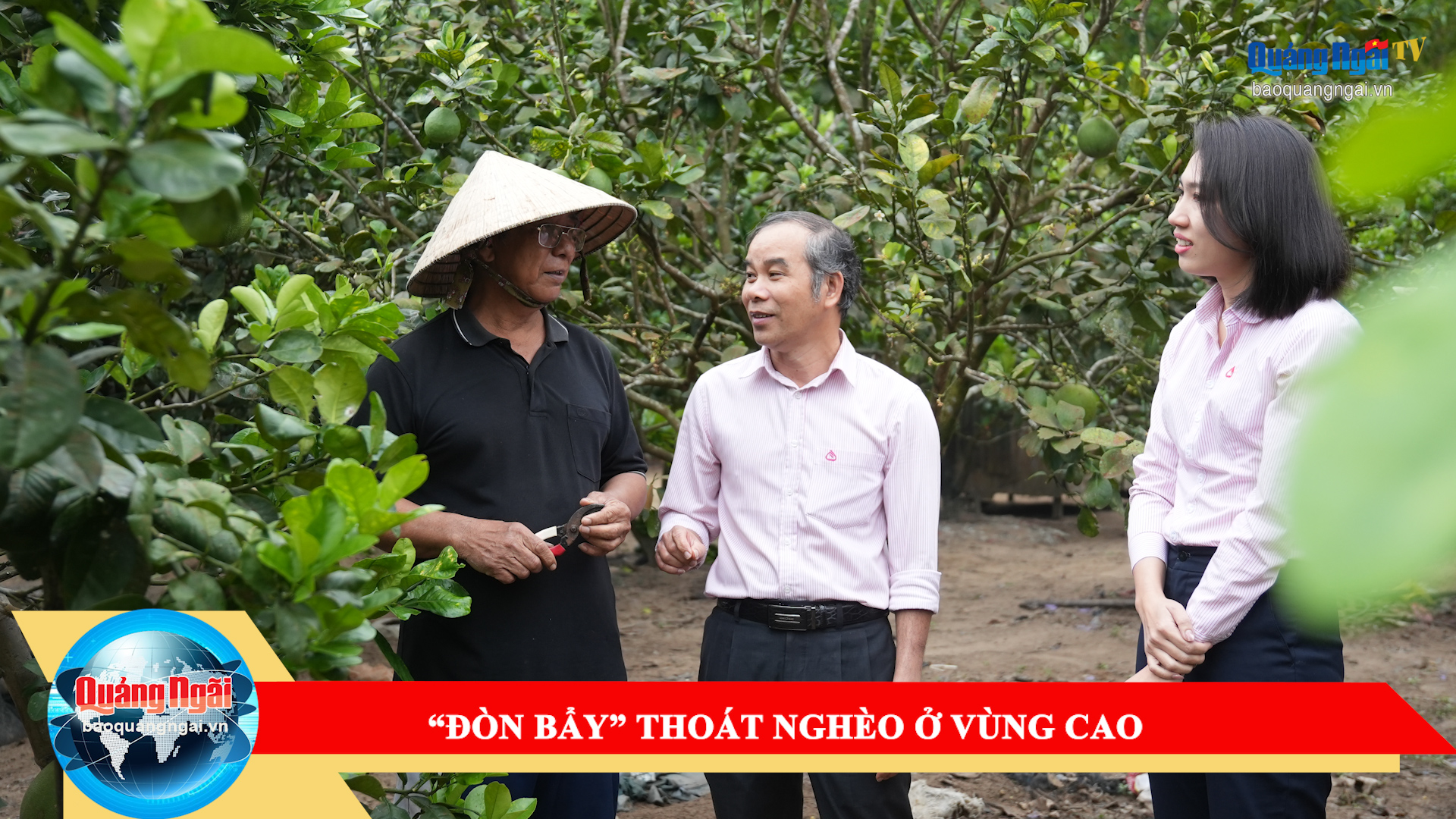 [Video]. “Đòn bẩy” thoát nghèo ở vùng cao 