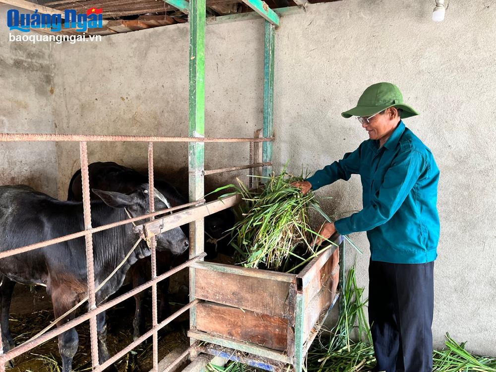 Tạo động lực cho cựu chiến binh phát triển kinh tế