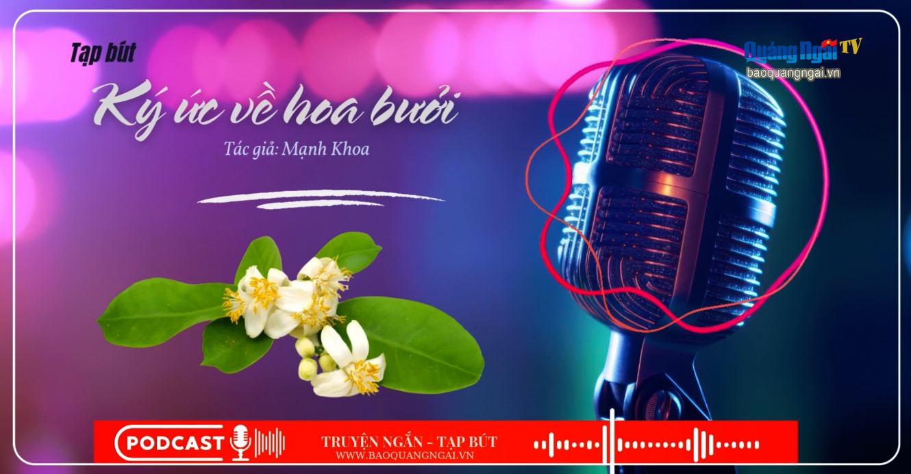 [Podcast]. Ký ức về hoa bưởi