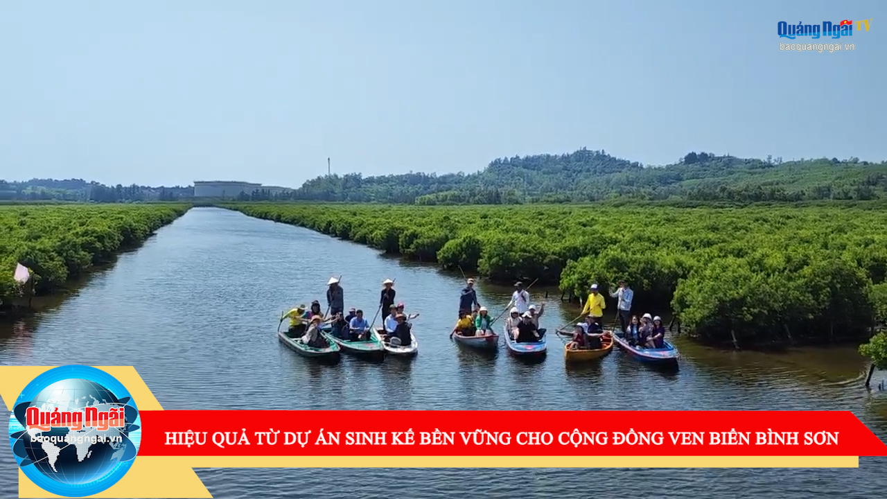 [Video]. Hiệu quả từ Dự án Sinh kế bền vững cho cộng đồng ven biển Bình Sơn