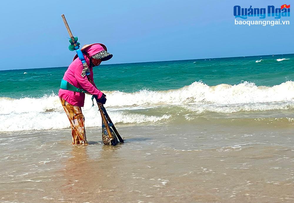 Mưu sinh bên chân sóng