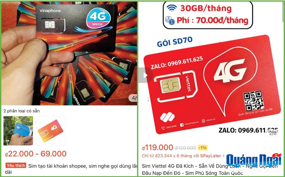 Nhiều biện pháp xóa sổ sim “rác”