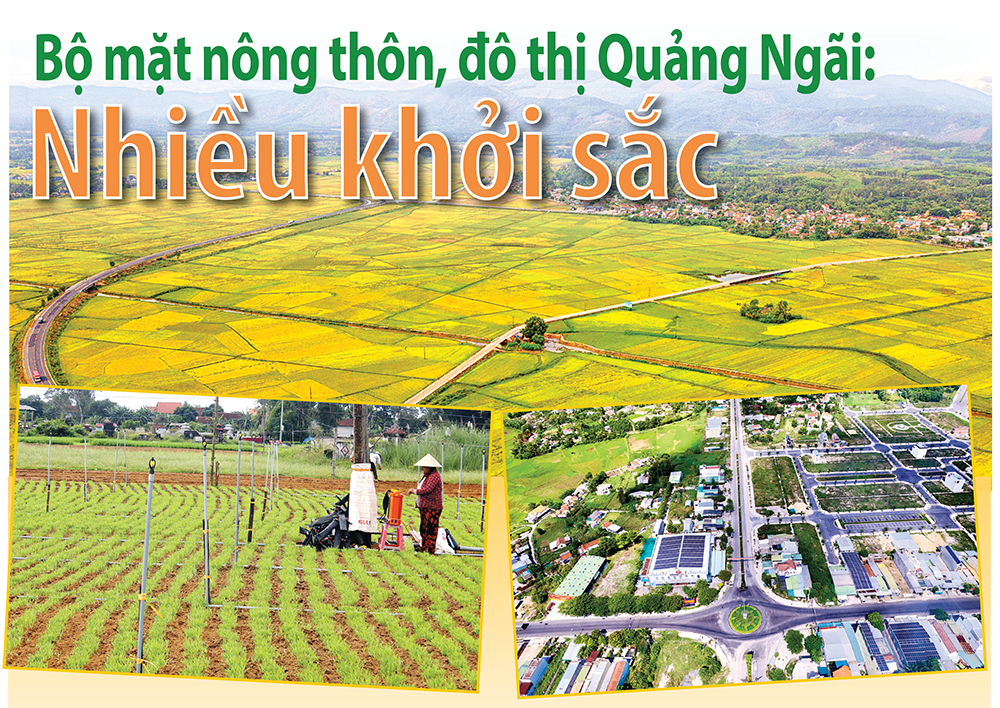 Bộ mặt nông thôn, đô thị Quảng Ngãi nhiều khởi sắc