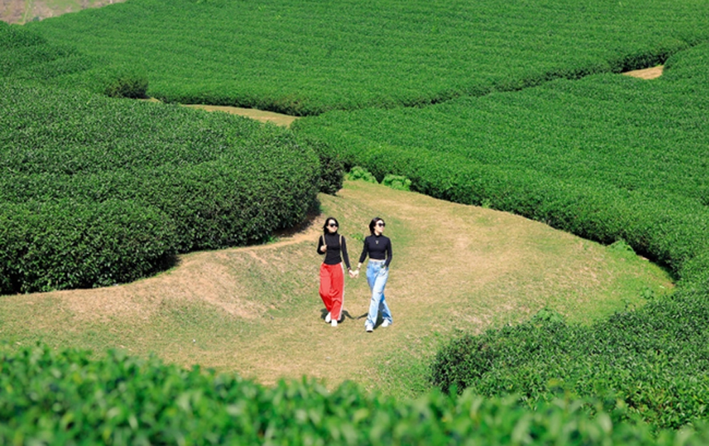 Mộc Châu được công nhận là Khu du lịch quốc gia