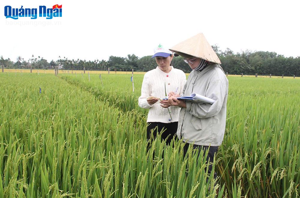 Đưa khoa học công nghệ vào trong sản xuất nông nghiệp