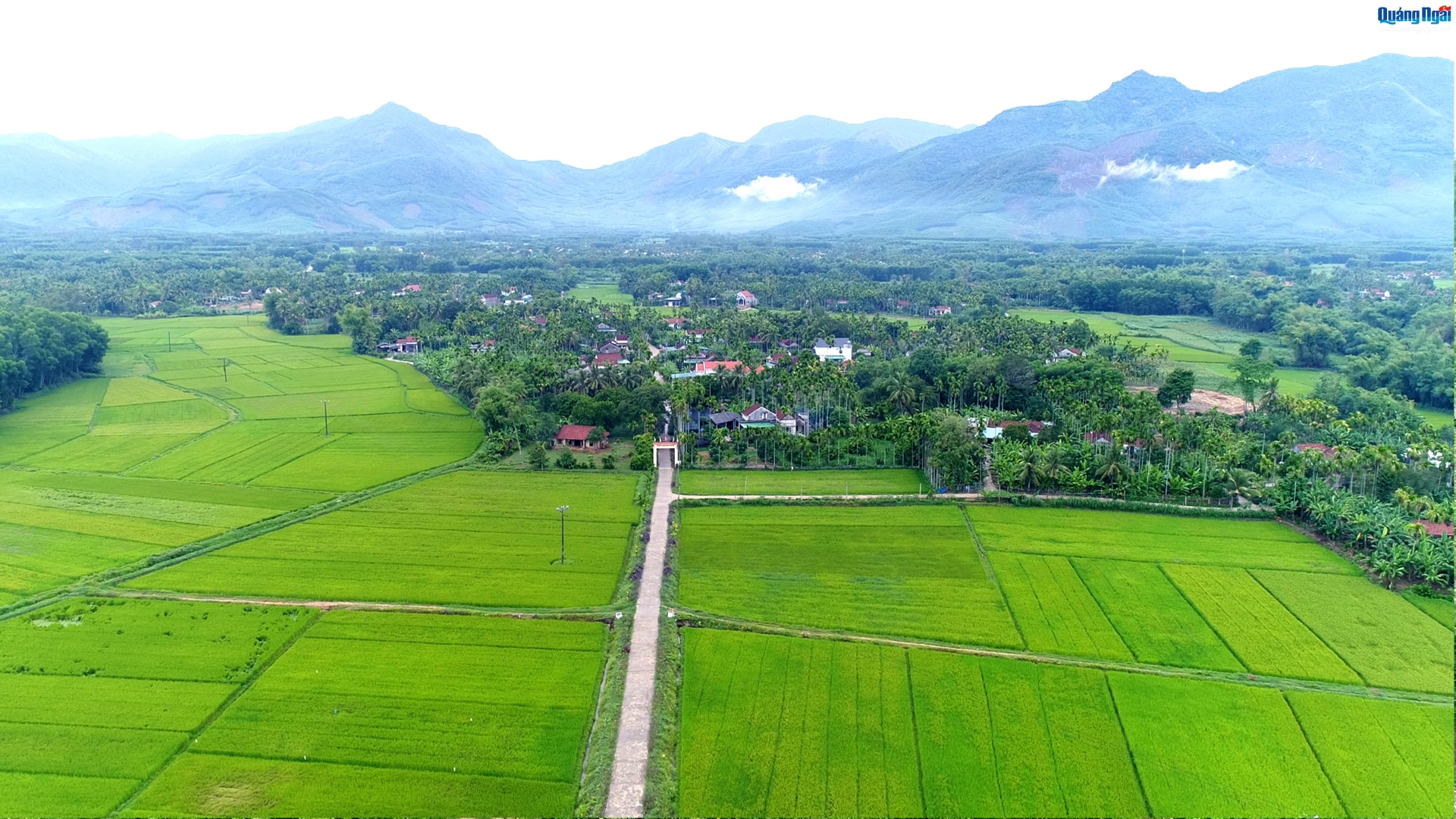 Các xã mới của huyện Nghĩa Hành là Đình Cương, Nghĩa Hành, Phước Giang và Thiện Tín