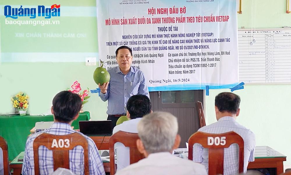 Nhân rộng mô hình cây trồng có giá trị kinh tế cao