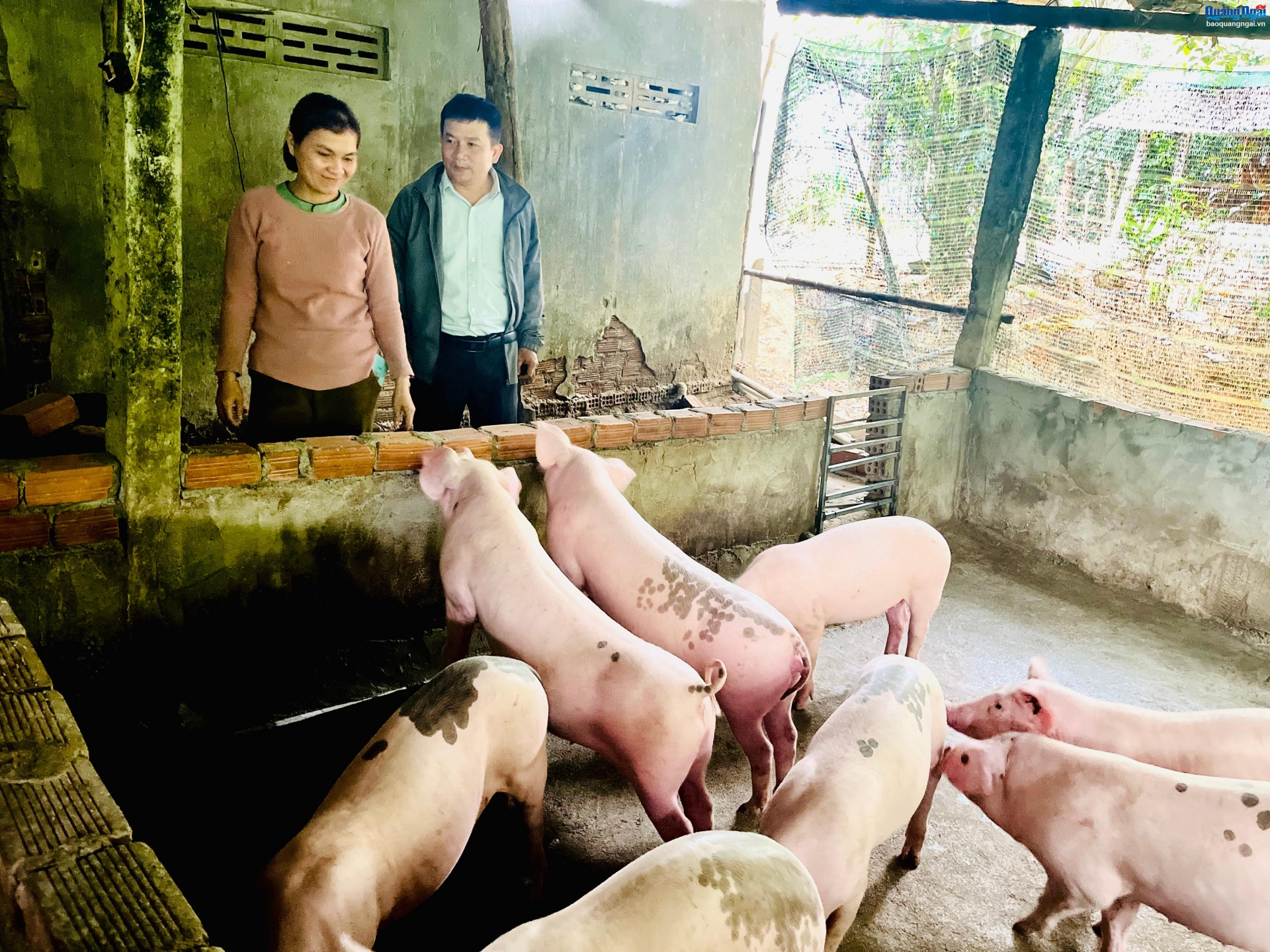 Phòng, chống dịch bệnh cho cây trồng, vật nuôi