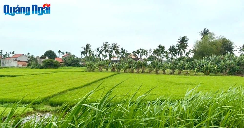 Phát triển nhà ở xã hội