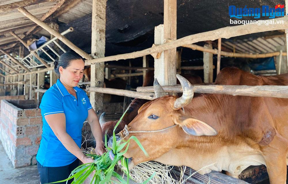 Những phụ nữ vượt khó làm giàu