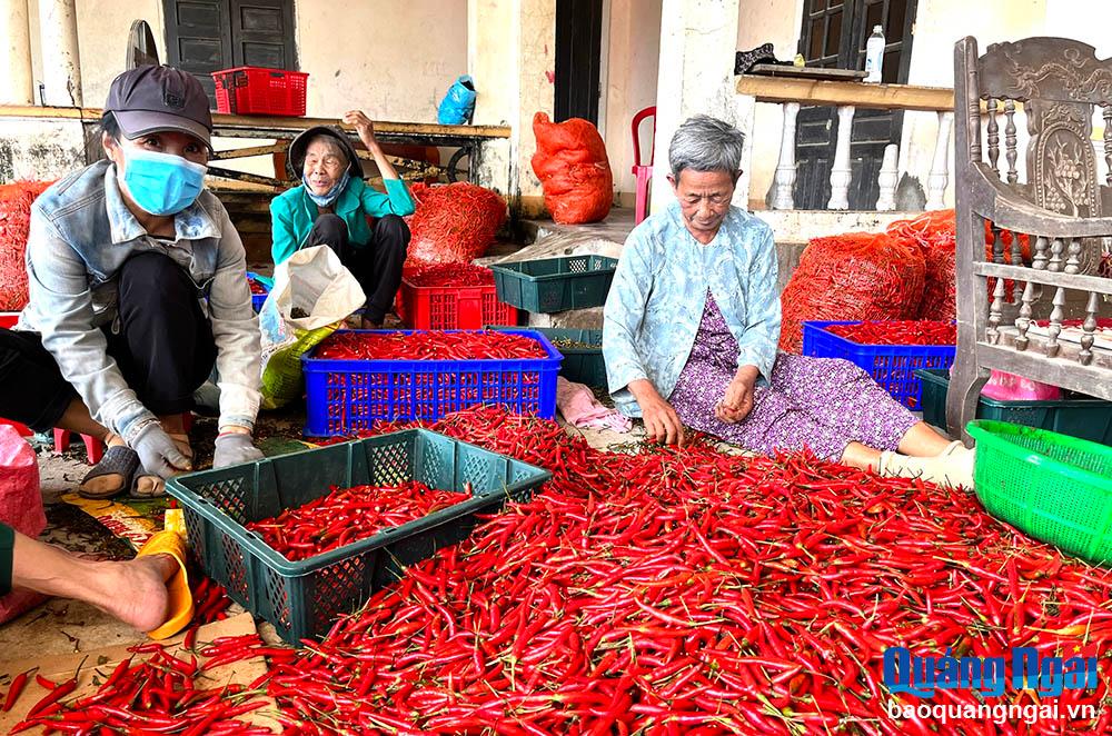 Quỹ tín dụng nhân dân: Hỗ trợ người dân, doanh nghiệp vay vốn